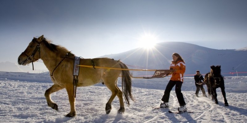Lovas síjöring Alpe d
