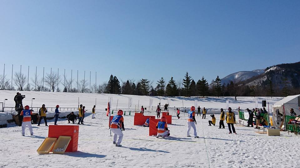 A hógolyózásban két hétfős csapat küzd meg egymással