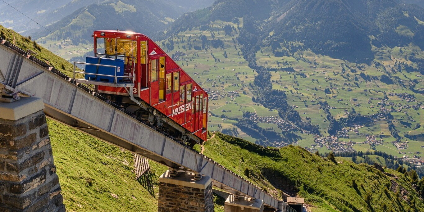 A sikló (Kép: Niesen)