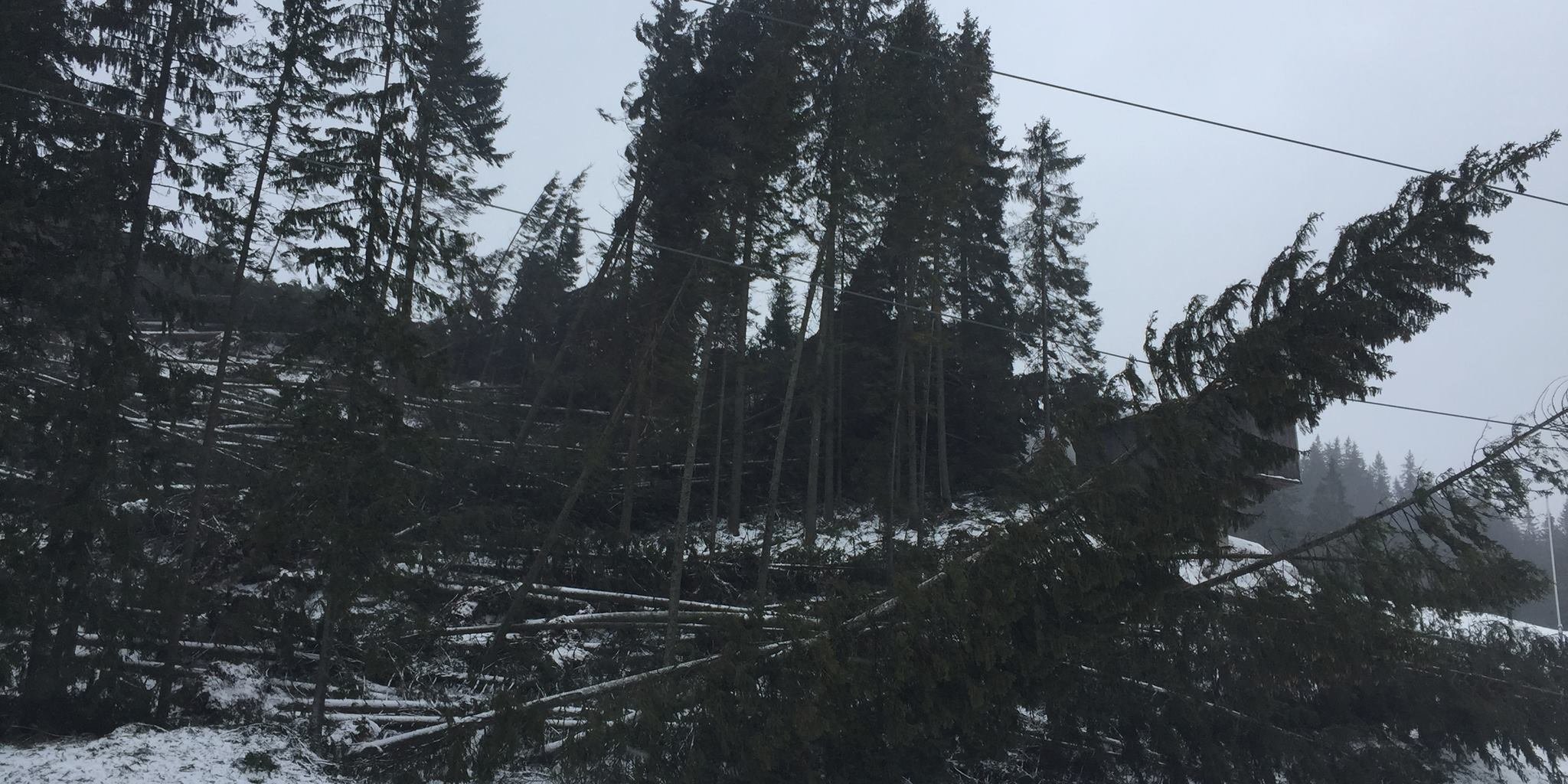 Jasná (Kép: Jana Boušková / Facebook)